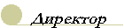 director.gif (1211 bytes)